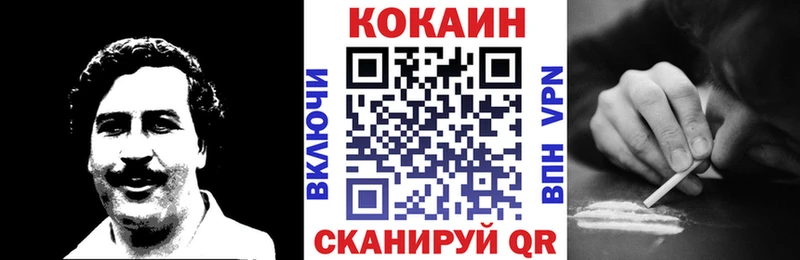 COCAIN Fish Scale  гидра вход  Кемь 