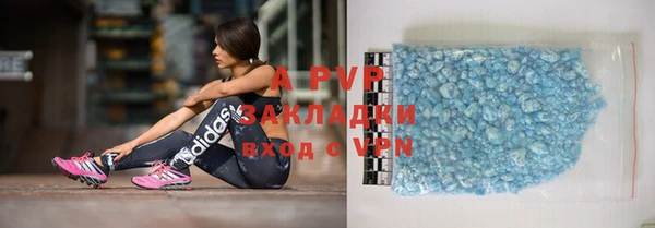 индика Алексин
