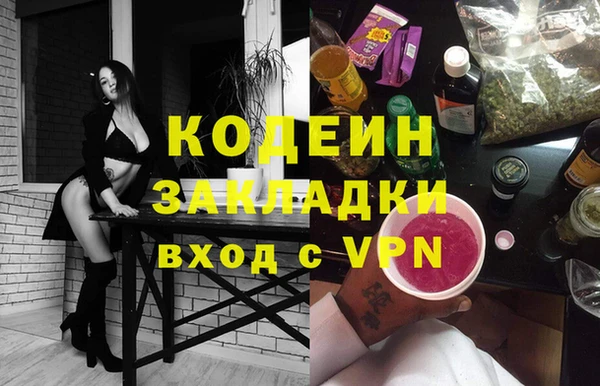 индика Алексин