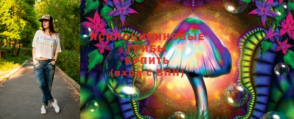 индика Алексин