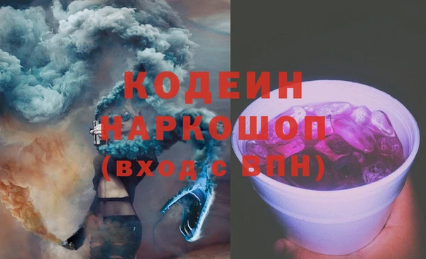 индика Алексин