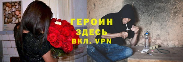 индика Алексин