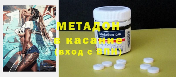 индика Алексин